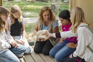 Angebote für Schulklassen