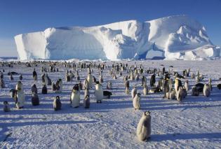 Bedrohte Eiswelt