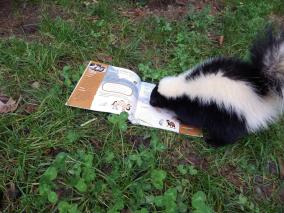 Vorlesetag im Zoo