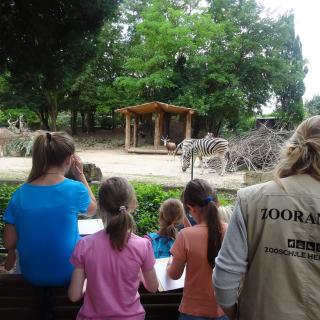 Tierbeobachtung beim Zoo-Unterricht