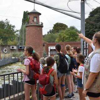 Eine Feriengruppe besucht das Küstenpanorama im Zoo Heidelberg
