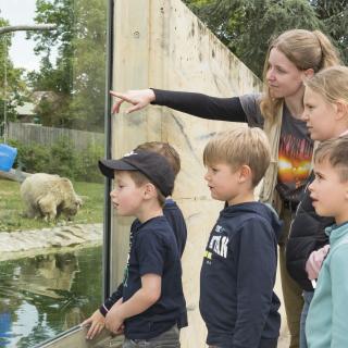 Angebote im Zoo