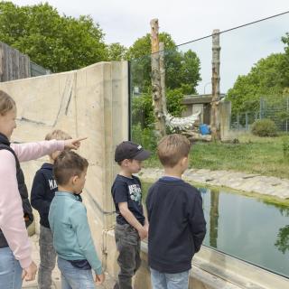 Gruppe bei den Bären